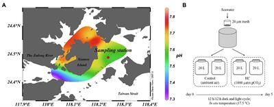 Insignificant Response of Bacterioplankton Community to Elevated pCO2 During a Short-Term Microcosm Experiment in a Subtropical Eutrophic Coastal Ecosystem